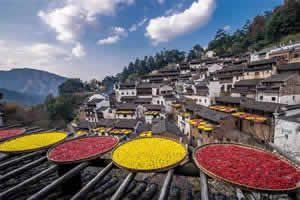 2 Days Wuyuan Countryside Culture and Nature Discovery Tour from Huangshan