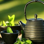 Longjing Tea(Dragon Well Tea) 