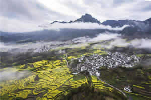 One Day Huizhou Culture Tour to reveal the mystery of Jixi  County