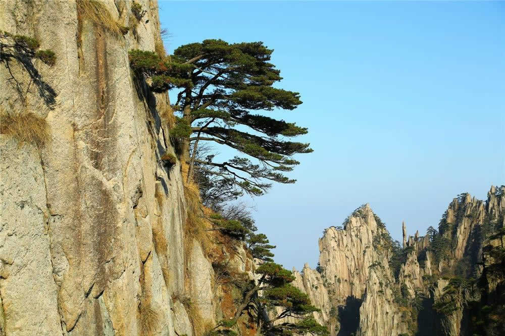 All-Inclusive Huangshan Mountain Exploration Tour From Hangzhou With Round-Trip Train Tickets