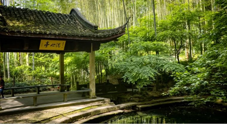 Bamboo-lined-Path-at-Yunqi