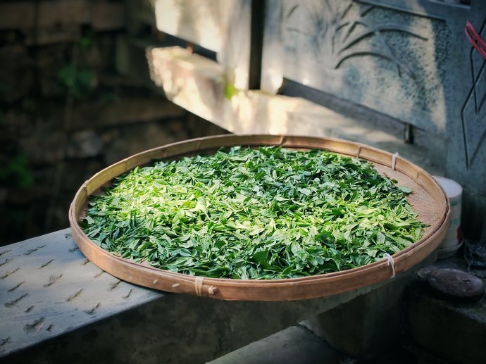 Meijiawu-Tea-Plantation-Hangzhou