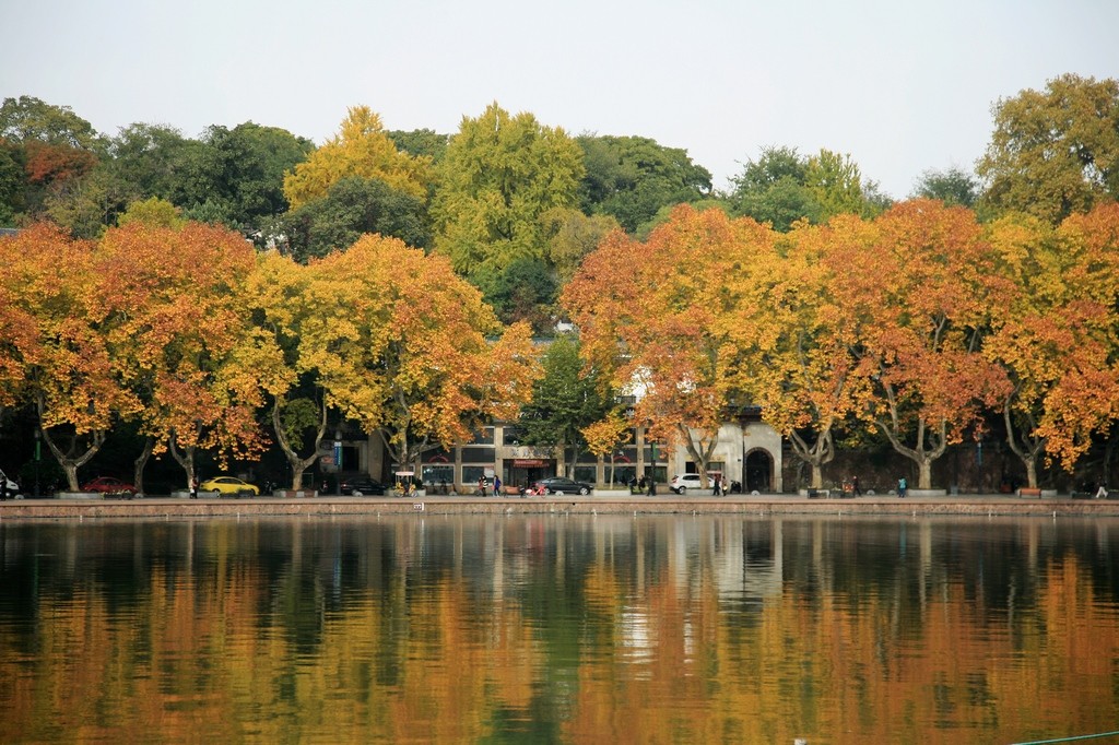 Viewing-Fish-at-the-Flower-Pond-Hangzhou