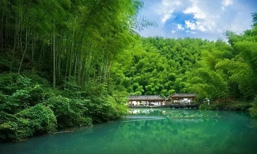water-pool-mukeng-bamboo-sea