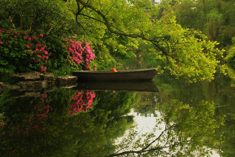 Viewing-Fish-At-The-Flower-Pond-Hangzhou