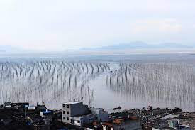 S-Bay-at-Shajiang2 S-Bay-at-Shajiang2