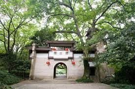Wuyi-Palace2 Wuyi-Palace2