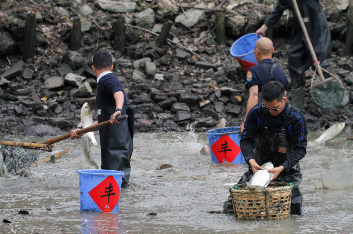 catching-fish