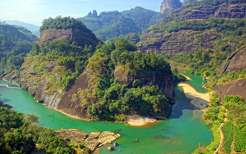 Wuyi-Tea-Culture Wuyi-Tea-Culture