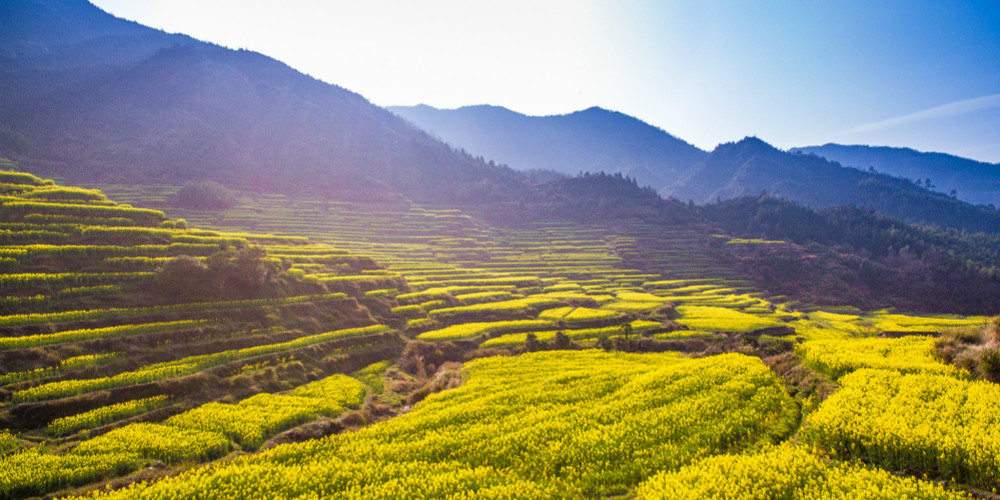 Wuyuan-Huangling8