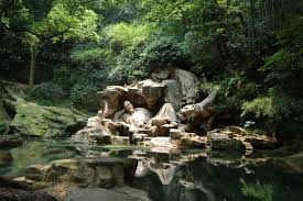 Dreaming-of-Tiger-at-Hupao-Valley
