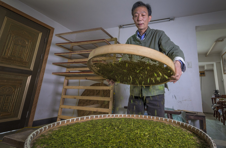 Longjing-Tea2