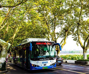 Public-Buses