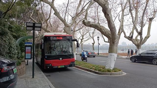 Public-Buses2