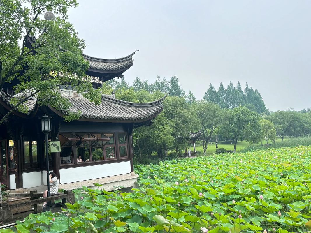 Xianghu2 Xianghu2