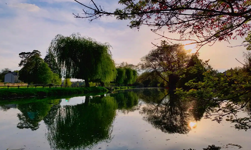 Xixi-National-Wetland-Park-3 Xixi-National-Wetland-Park-3