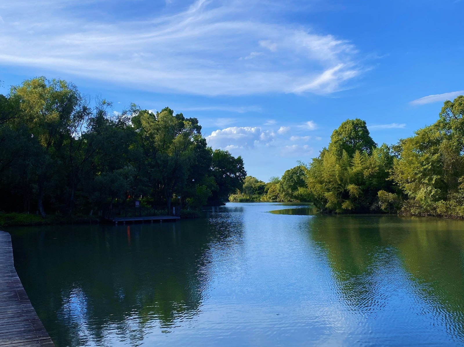 Xixi-Wetland